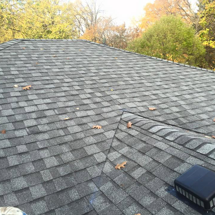 Roofing Picture